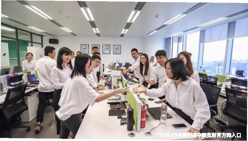 未来愿景与发展方向